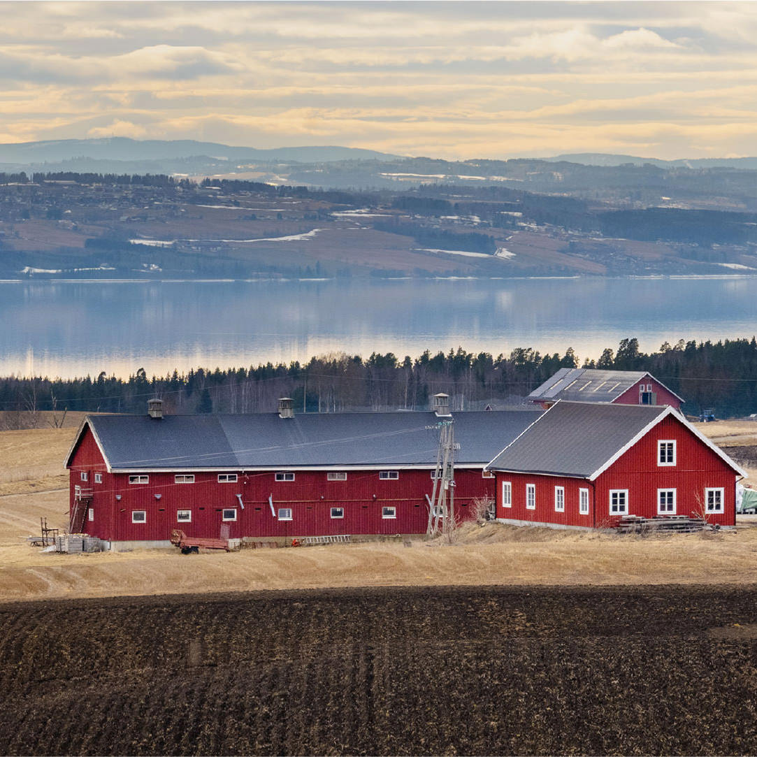Norwegian landscape with barn in foreground